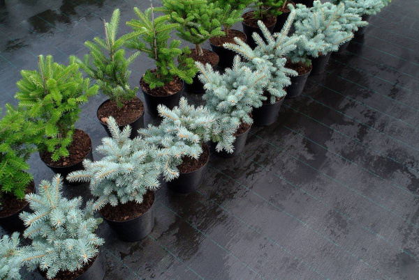 Садовый геотекстиль